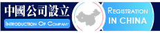 中國公司 100 1