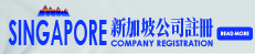 新加坡公司 100 1