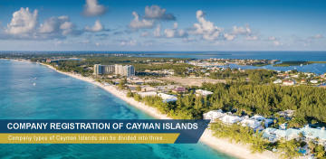 開曼公司 手機板